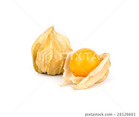 Cape Gooseberry. 28126601