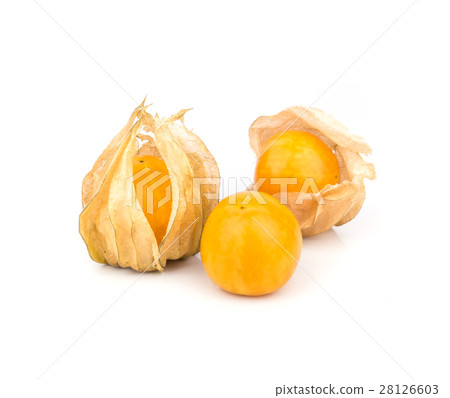 Cape Gooseberry. 28126603