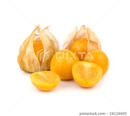 Cape Gooseberry. 28126605