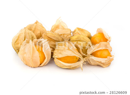 Cape Gooseberry. 28126609