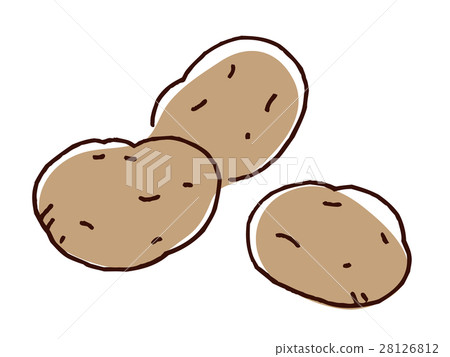 Potato illustration 28126812