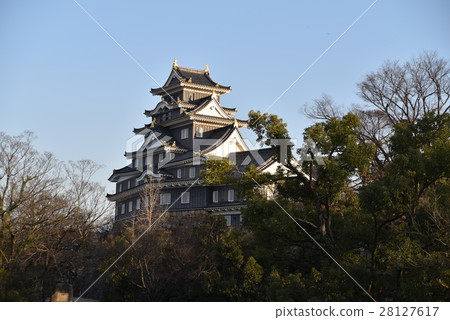 [100 Fine Castles of Japan] Okayama Castle castle tower that shines in the winter sunset, Kita-ku, Okayama City, Okayama Prefecture 28127617