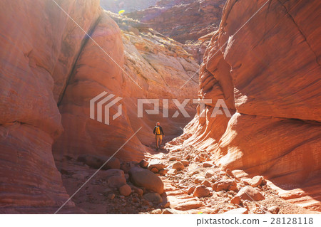 Slot canyon 28128118