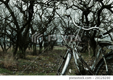 Leave alone 28128280