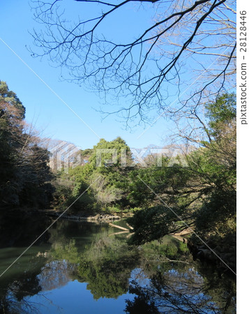 Sanshiro pond Sanshiro pond 28128446