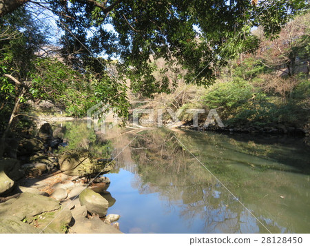 Sanshiro pond 28128450