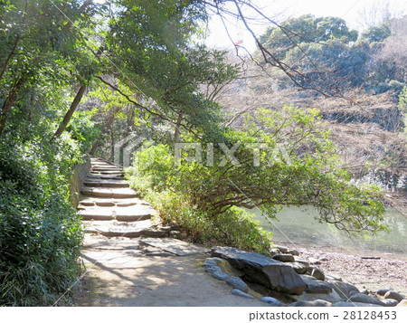 Around Sanshiro pond 28128453