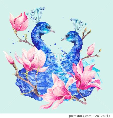 Watercolor Peacock with Flowers Magnolia 28128914