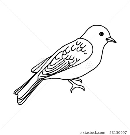 插图素材: vector illustration hand drawn sketch of bird