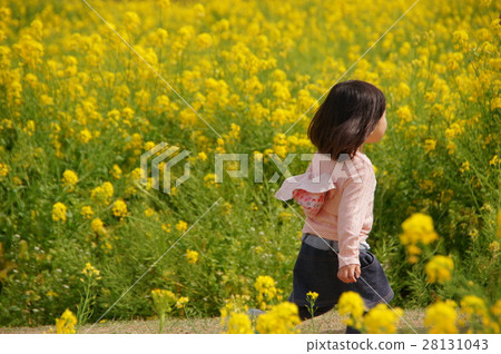 跑菜花園的女孩 28131043
