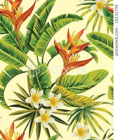 tropical plumeria exotic flowers pattern 28132748