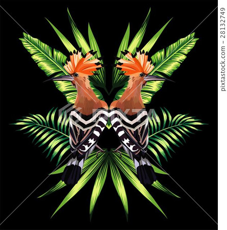 hoopoe and tropical leaves mirror reflection 28132749