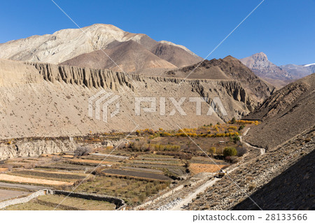 autumn landscape, Himalayas 28133566