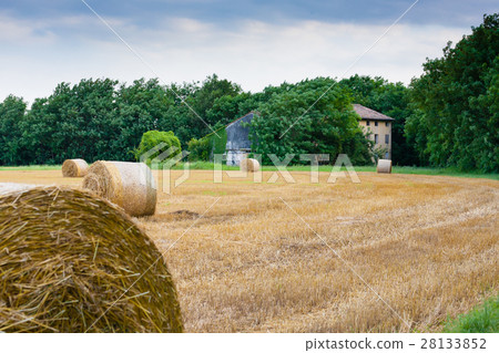 Italian countryside panorama. wheat round bales Italian countryside panorama. wheat round bales 28133852