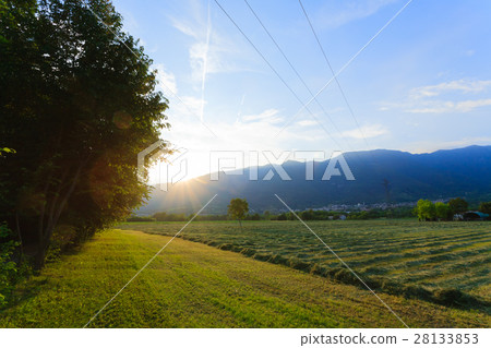 Italian countryside landscape Italian countryside landscape 28133853