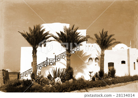 retro house with palm trees 28134014
