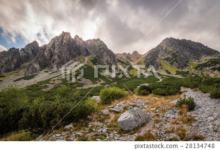 Mountain Landscape 28134748