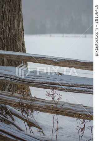 Rustic cedar rail fence with snow dusting 28136419