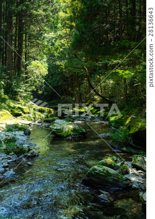 Mountain stream (84) 28136643