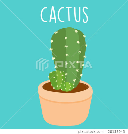 cute green cactus in a pot vector cute green cactus in a pot vector 28138943