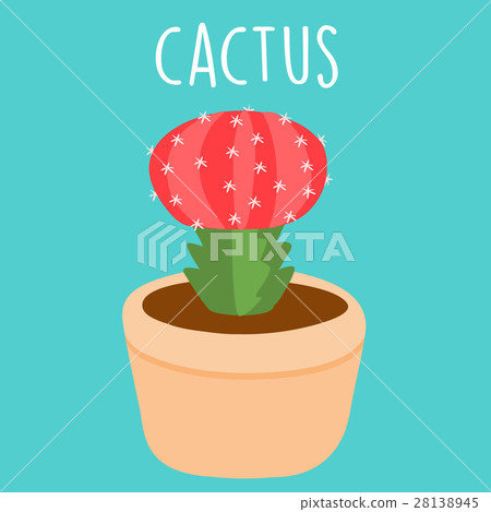 cute red cactus in a pot vector cute red cactus in a pot vector 28138945
