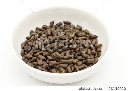 Daiko(Ketsumeishi):Senna obtusifolia的種子 Daiko(Ketsumeishi):Senna obtusifolia的種子 28139020