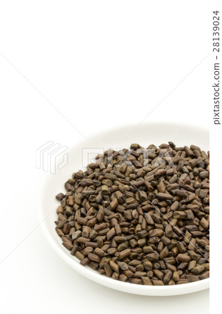 Daiko（Ketsumeishi）：Senna obtusifolia的種子 28139024