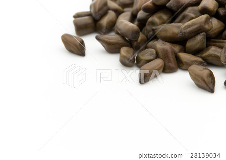 Daiko（Ketsumeishi）：Senna obtusifolia的種子 28139034