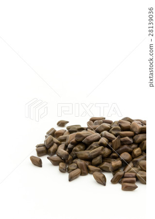 Daiko（Ketsumeishi）：Senna obtusifolia的種子 28139036