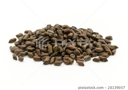 Daiko（Ketsumeishi）：Senna obtusifolia的種子 28139037
