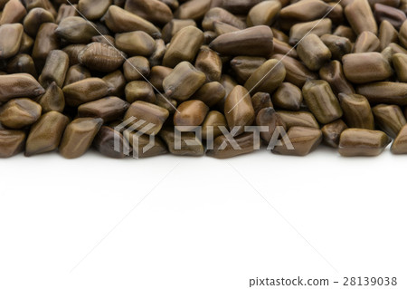 Daiko（Ketsumeishi）：Senna obtusifolia的種子 28139038