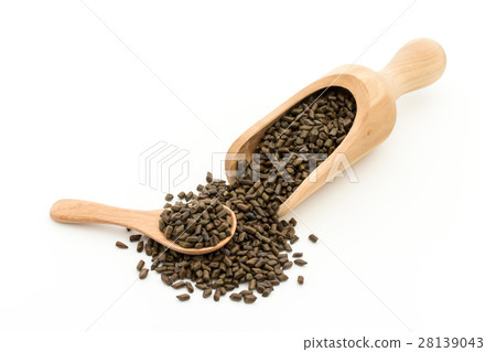 Daiko (Ketsumeishi): Seeds of Senna obtusifolia 28139043