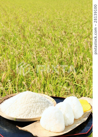 Autumn rice field and bowl of rice balls 28139100