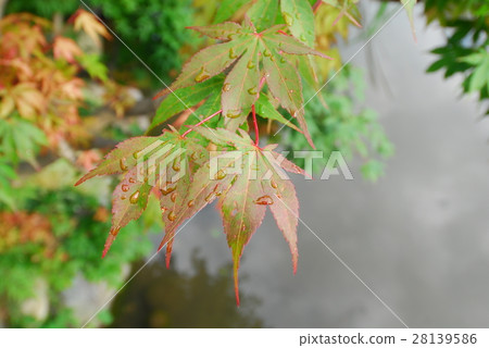 Central Civic Center 28139586