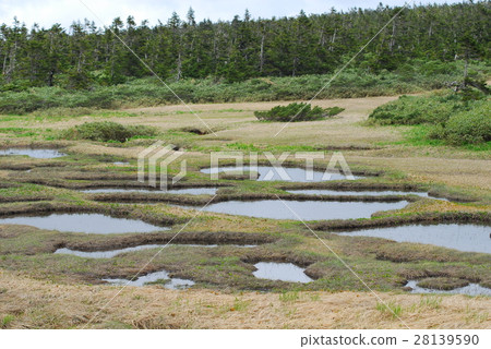 National Park 28139590