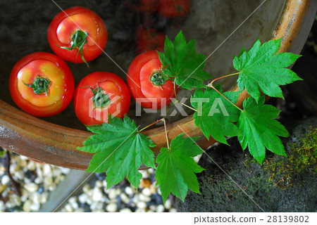 Japan Gifu Prefecture Okuhida Wenquan Township Suimeikan Karukaya Sanso 28139802