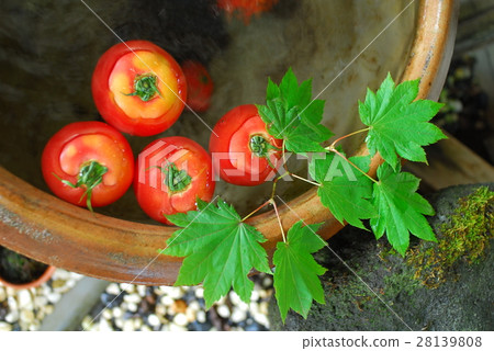 Japan Gifu Prefecture Okuhida Wenquan Township Suimeikan Karukaya Sanso 28139808