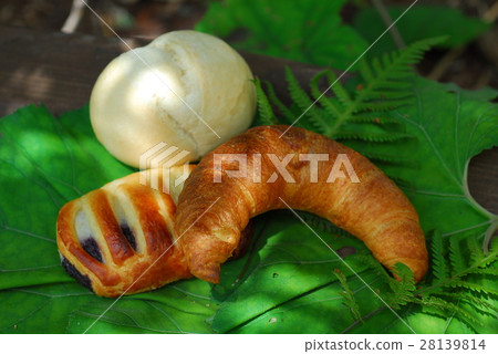 Japan Gifu Prefecture Okuhida Wenquan Township 28139814