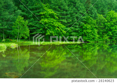 Nagano _ fresh green's shooting pond 28140623