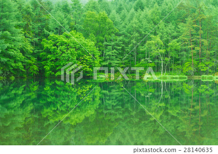 Nagano _ fresh green's shooting pond 28140635