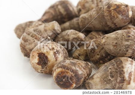 Shrimp potatoes simple white back photo Shrimp potatoes simple white back photo 28146978