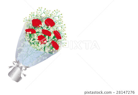 Flower carnation Flower carnation 28147276