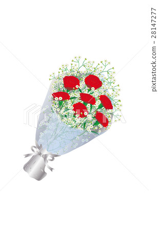 Flower carnation Flower carnation 28147277