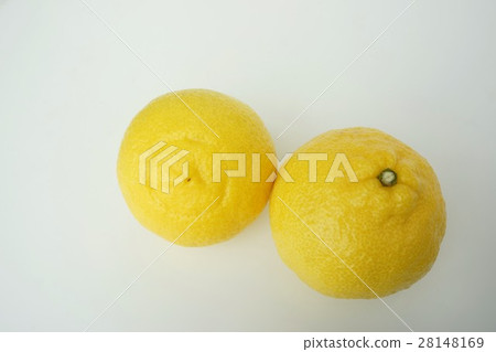 Haruka Orange 28148169