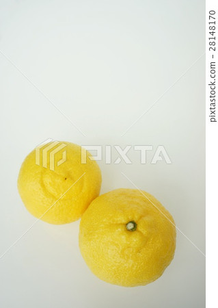 Haruka Orange 28148170