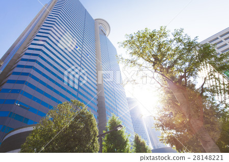 辦公區和街道樹木的高層建築 辦公區和街道樹木的高層建築 28148221