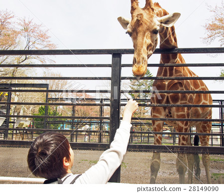 Kirin and a boy Kirin and a boy 28149090