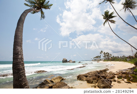 Tropical beach Tropical beach 28149294