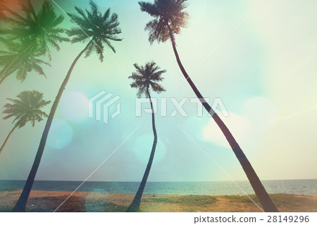 Tropical beach 28149296