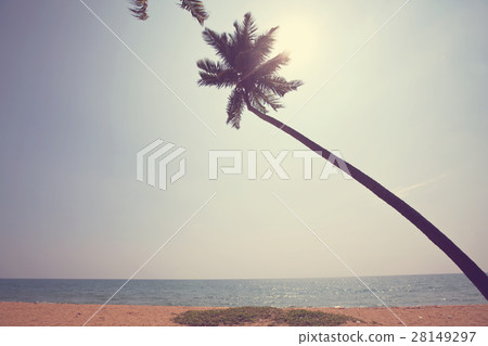 Tropical beach Tropical beach 28149297